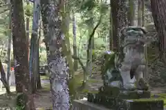 霊山寺の狛犬