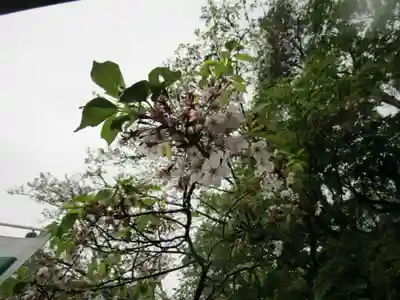 金剛宝寺（紀三井寺）(和歌山県)