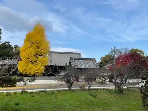 本誓寺(東本誓寺)の建物その他