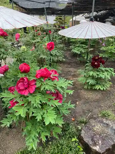 當麻寺西南院(奈良県)