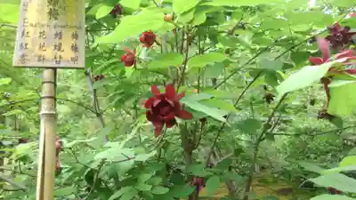 天龍寺(京都府)
