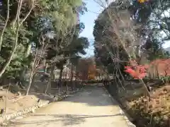 醍醐寺(京都府)