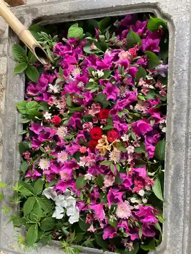 於菊稲荷神社(群馬県)