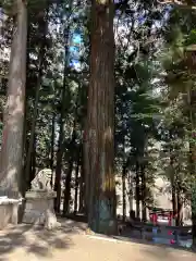 大宮温泉神社(栃木県)