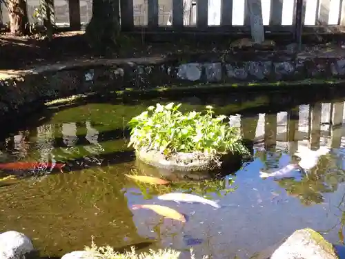 阿蘇神社(熊本県)