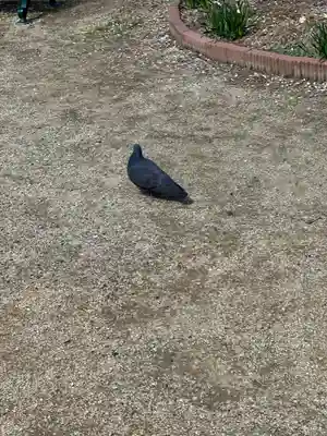 屯倉神社(大阪府)