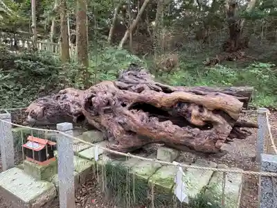 泉神社(茨城県)