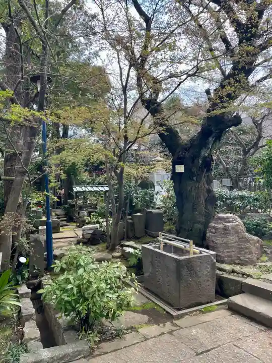 厳浄院の{uncategorized: "未分類", other: "その他", undefined: "問題あり", building: "その他建物", grave: "お墓", sacred_gate: "鳥居", guardian: "狛犬", statue: "像", buddha: "仏像", history: "歴史", nature: "自然", garden: "庭園", animal: "動物", pagoda: "塔", temizu: "手水舎", mountain_gate: "山門・神門", sanctuary: "本殿・本堂", subordinate: "末社・摂社", art: "芸術", scenery: "景色", jizo: "地蔵", ema: "絵馬", goshuin: "御朱印", omikuji: "おみくじ", items: "授与品その他", amulet: "お守り", goshuincho: "御朱印帳", eats: "食事", festival: "お祭り", votive_dance: "神楽", shichigosan: "七五三参", wedding: "結婚式", experience: "体験その他", initially: "初詣", around: "周辺", anti_infection: "感染症対策"}