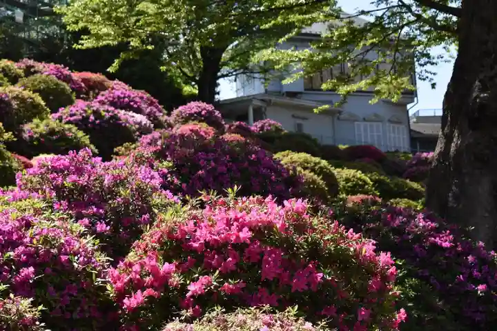 根津神社の庭園