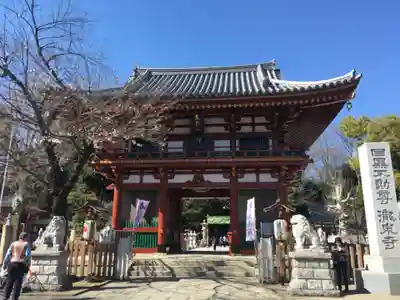 瀧泉寺(目黒不動尊)の山門・神門