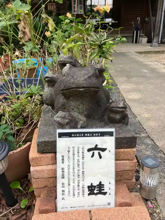 洞雲寺(愛知県)