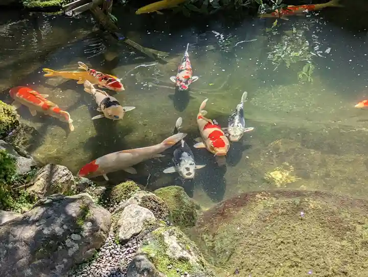 一條殿 新善光寺(京都府)