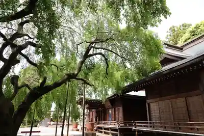 常陸第三宮 吉田神社(茨城県)