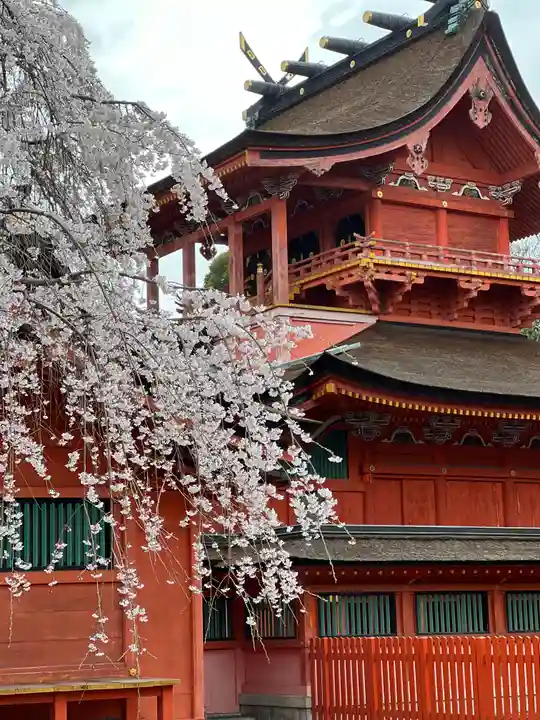 富士山本宮浅間大社の本殿・本堂