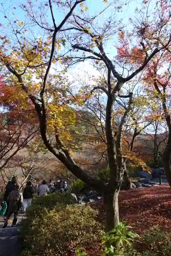 東福禅寺（東福寺）の庭園