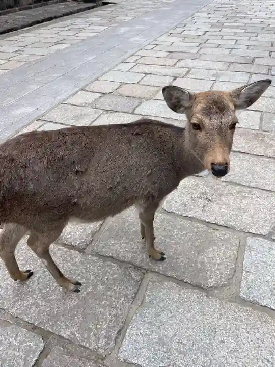 東大寺戒壇院戒壇堂(奈良県)