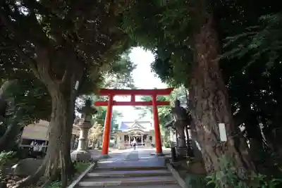 天沼八幡神社の鳥居
