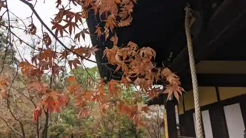 勝林寺(京都府)