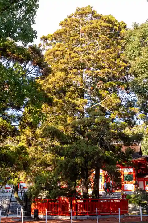 香椎宮(福岡県)