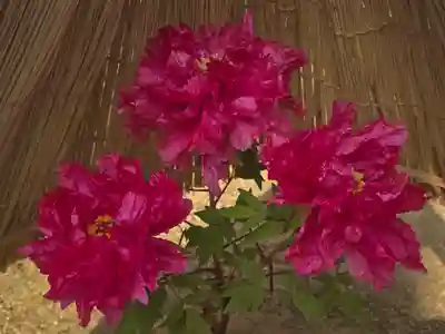 當麻寺 奥院(奈良県)