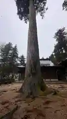 八幡神社(兵庫県)