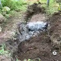 高司神社〜むすびの神の鎮まる社〜の自然