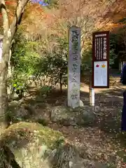 大矢田神社(岐阜県)