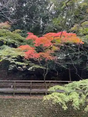 北野天満宮(京都府)