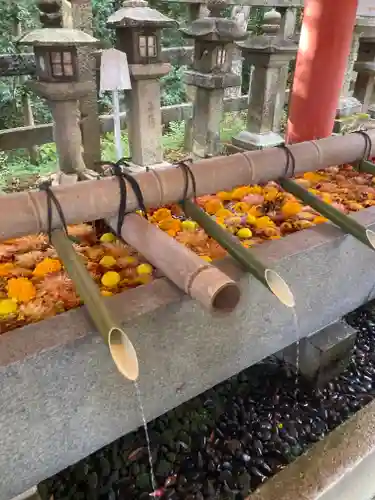 石清水八幡宮の手水舎