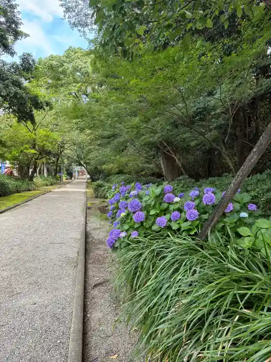 江田神社(宮崎県)