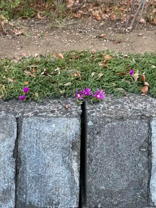 八幡社(千葉県)