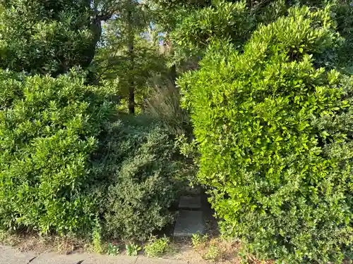 厳島神社(千葉県)