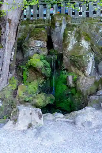 諏訪大社(長野県)