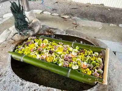 立志神社の手水舎