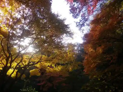 東慶寺の庭園