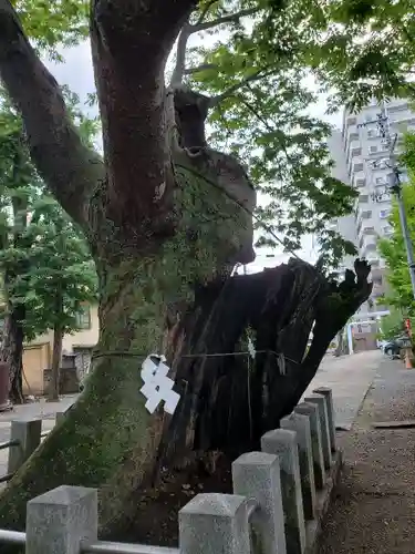 阿邪訶根神社の自然