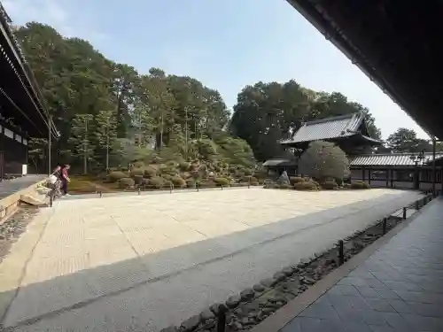 東福禅寺（東福寺）の{uncategorized: "未分類", other: "その他", undefined: "問題あり", building: "その他建物", grave: "お墓", sacred_gate: "鳥居", guardian: "狛犬", statue: "像", buddha: "仏像", history: "歴史", nature: "自然", garden: "庭園", animal: "動物", pagoda: "塔", temizu: "手水舎", mountain_gate: "山門・神門", sanctuary: "本殿・本堂", subordinate: "末社・摂社", art: "芸術", scenery: "景色", jizo: "地蔵", ema: "絵馬", goshuin: "御朱印", omikuji: "おみくじ", items: "授与品その他", amulet: "お守り", goshuincho: "御朱印帳", eats: "食事", festival: "お祭り", votive_dance: "神楽", shichigosan: "七五三参", wedding: "結婚式", experience: "体験その他", initially: "初詣", around: "周辺", anti_infection: "感染症対策"}