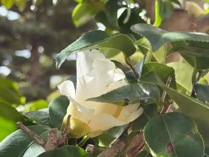 西方山極楽寺(岐阜県)