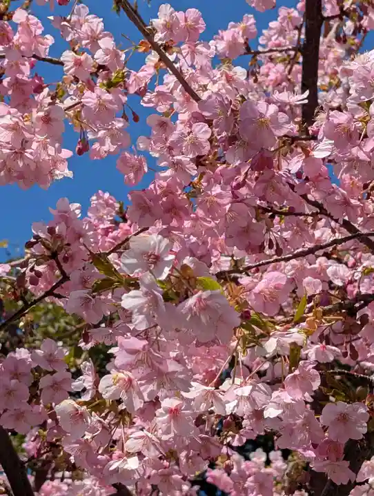 嶺白山神社(東京都)