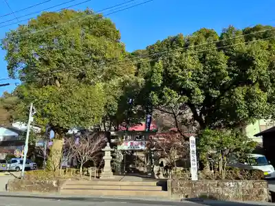鹿児島神社(鹿児島県)