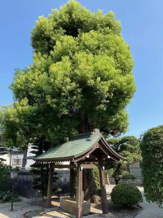 明蔵寺(愛知県)