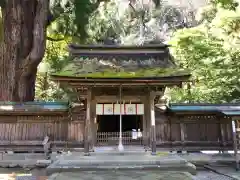 若狭姫神社（若狭彦神社下社）(福井県)