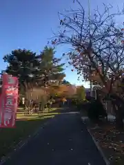 札幌護國神社の七五三参