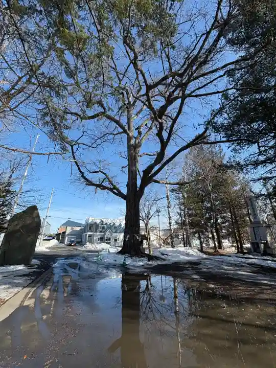 音更神社の{uncategorized: "未分類", other: "その他", undefined: "問題あり", building: "その他建物", grave: "お墓", sacred_gate: "鳥居", guardian: "狛犬", statue: "像", buddha: "仏像", history: "歴史", nature: "自然", garden: "庭園", animal: "動物", pagoda: "塔", temizu: "手水舎", mountain_gate: "山門・神門", sanctuary: "本殿・本堂", subordinate: "末社・摂社", art: "芸術", scenery: "景色", jizo: "地蔵", ema: "絵馬", goshuin: "御朱印", omikuji: "おみくじ", items: "授与品その他", amulet: "お守り", goshuincho: "御朱印帳", eats: "食事", festival: "お祭り", votive_dance: "神楽", shichigosan: "七五三参", wedding: "結婚式", experience: "体験その他", initially: "初詣", around: "周辺", anti_infection: "感染症対策"}