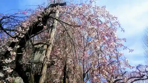 長建寺の自然