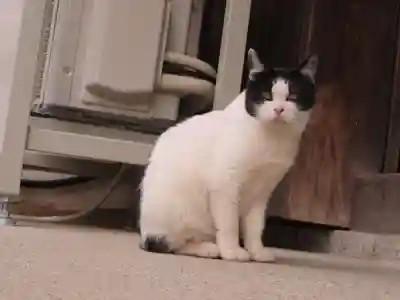 法隆寺(奈良県)