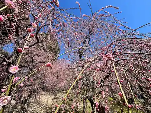 城南宮(京都府)