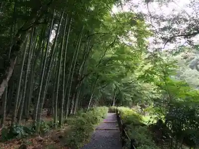 常栄寺(山口県)