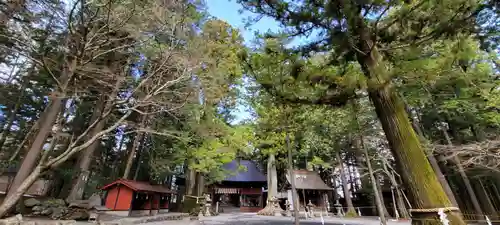 北口本宮冨士浅間神社の景色