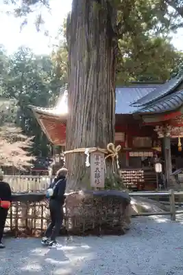 北口本宮冨士浅間神社(山梨県)